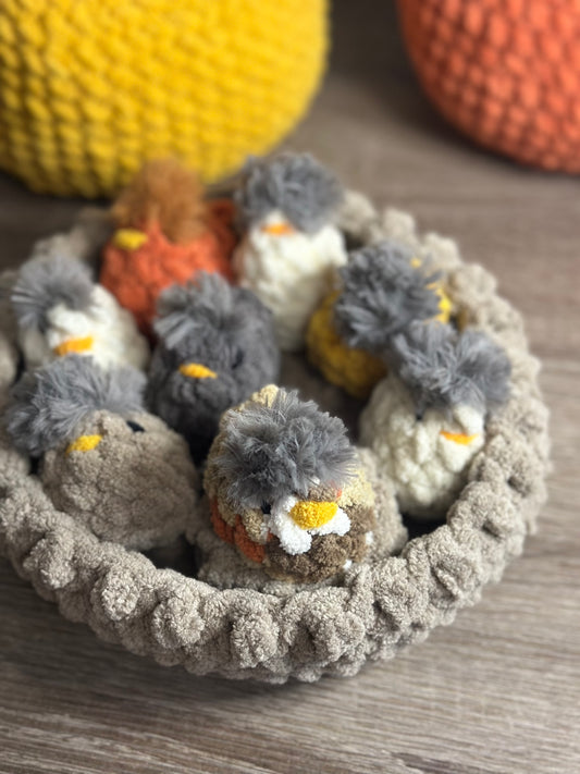 Baby Chick with Nest