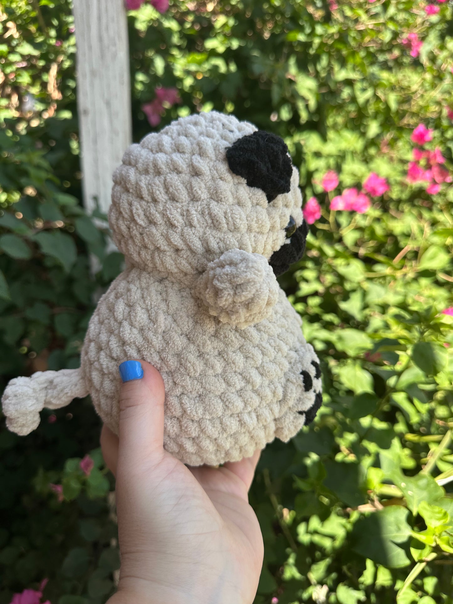 Pug