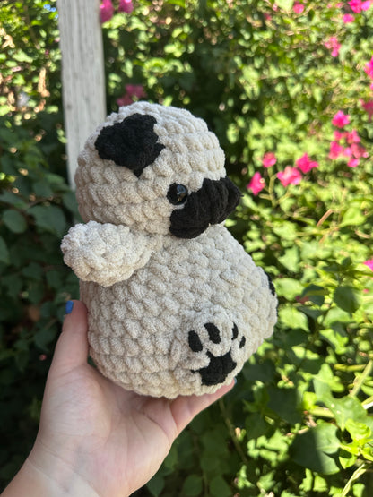 Pug