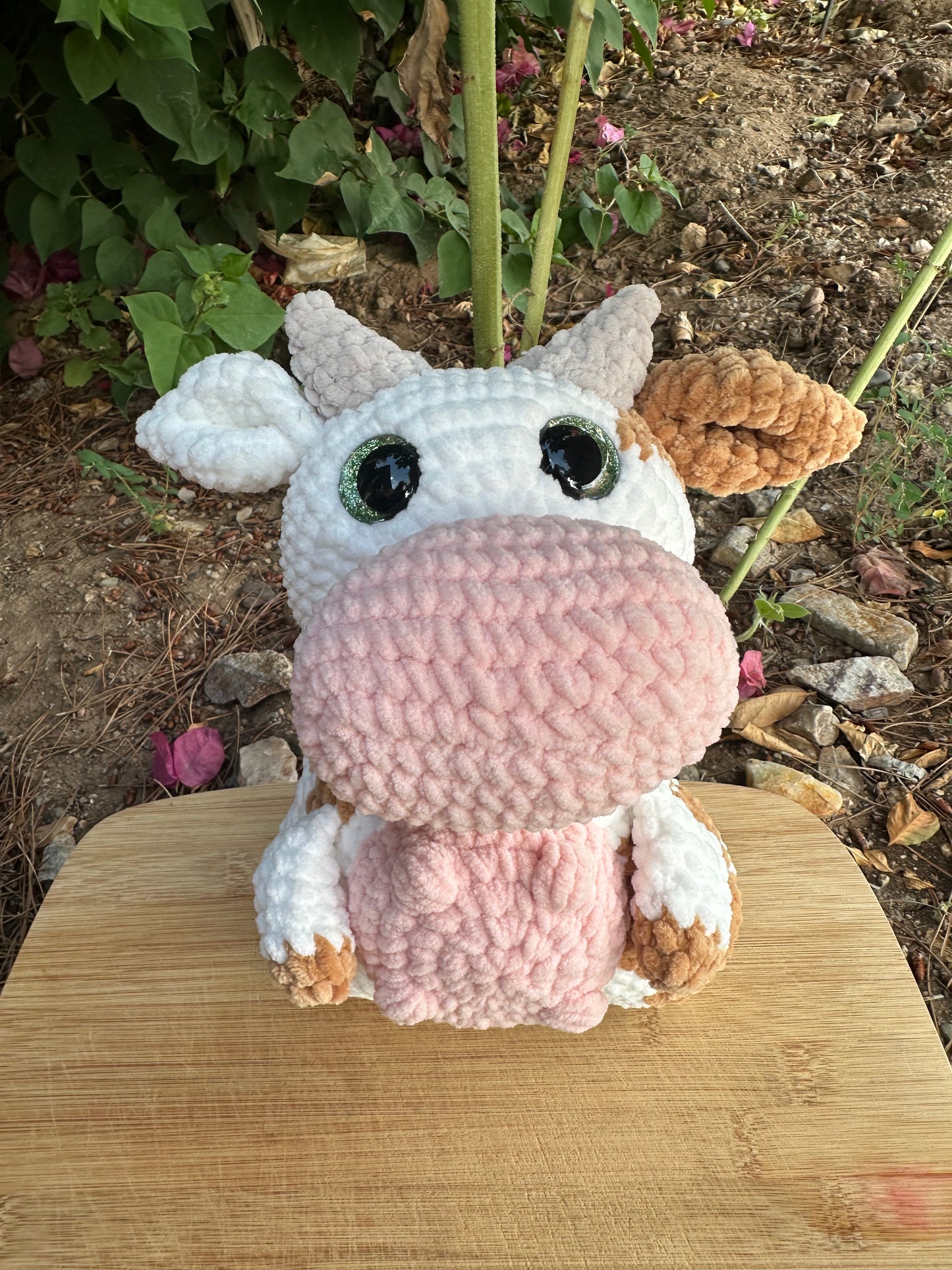 Moona the cow