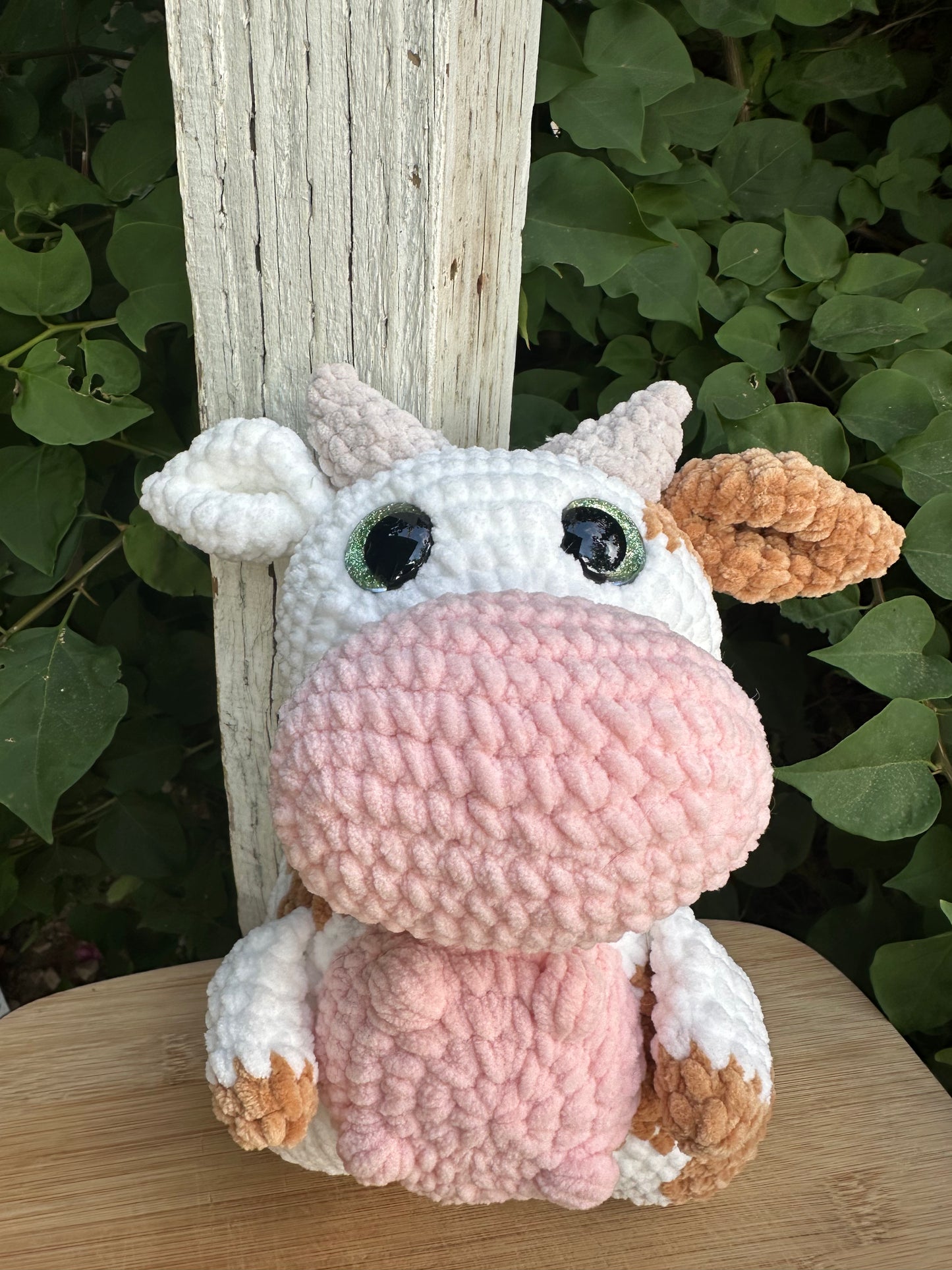 Moona the cow